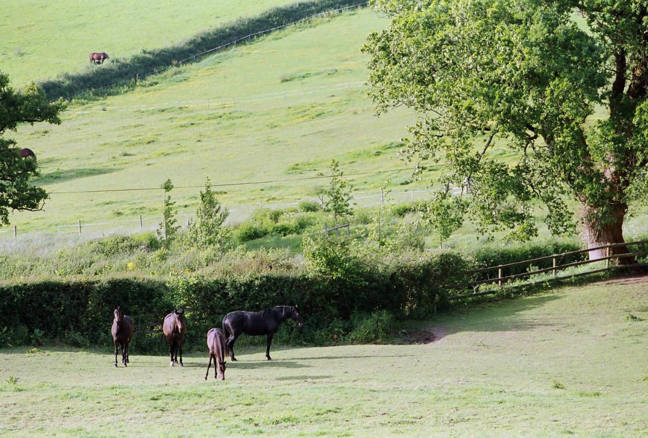 Devon Country Paradise Tavistock  Exterior photo