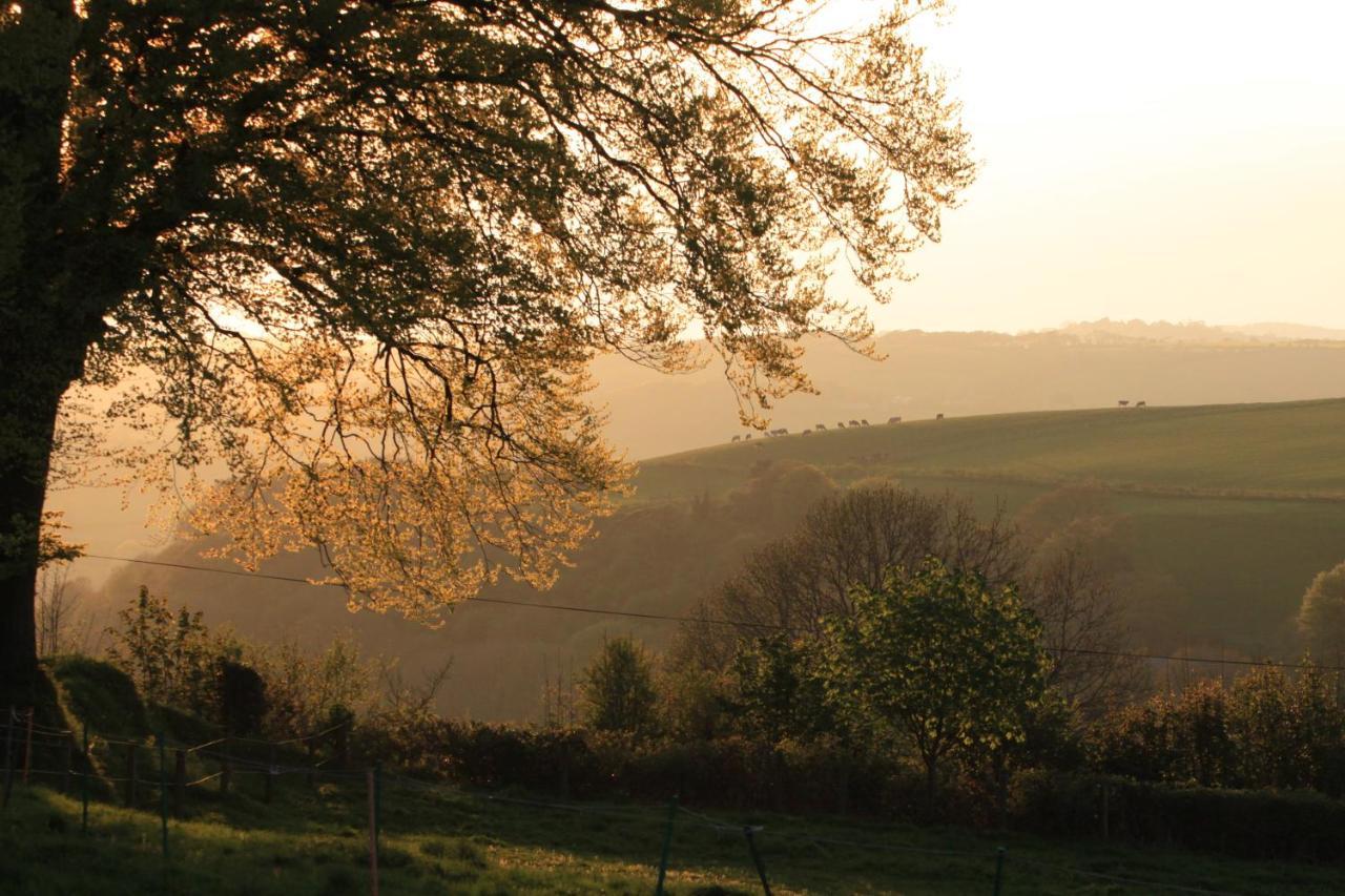 Devon Country Paradise Tavistock  Exterior photo